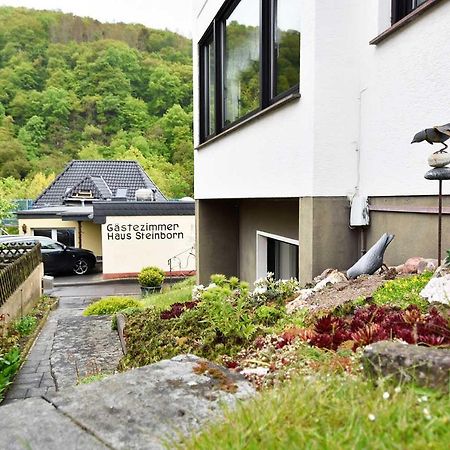 Hotel Gaestehaus Steinborn Heimbach Zewnętrze zdjęcie